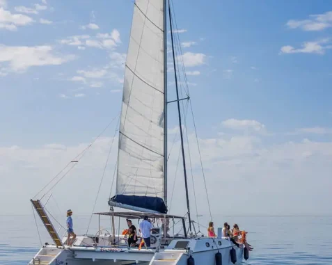 Catamarán Lady Hawke 12 pasajeros