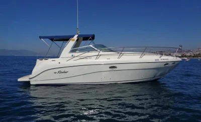 Rinker Vee 310
