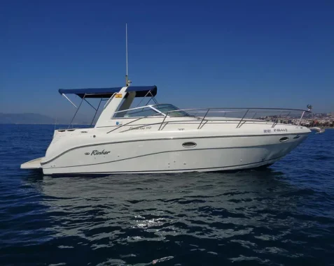 Rinker Vee 310