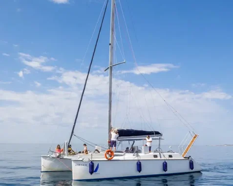 Catamarán Lady Hawke 12 pasajeros