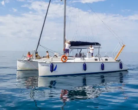 Catamarán Lady Hawke 12 pasajeros