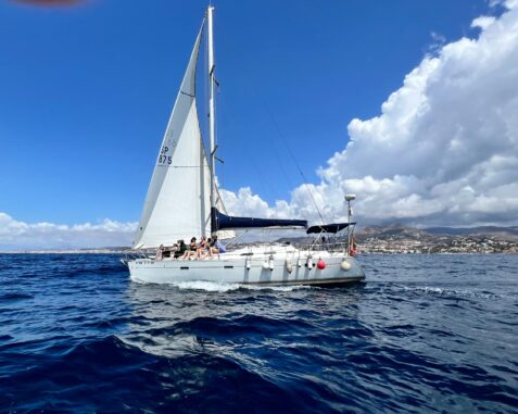 Velero Oceanis Clipper 393