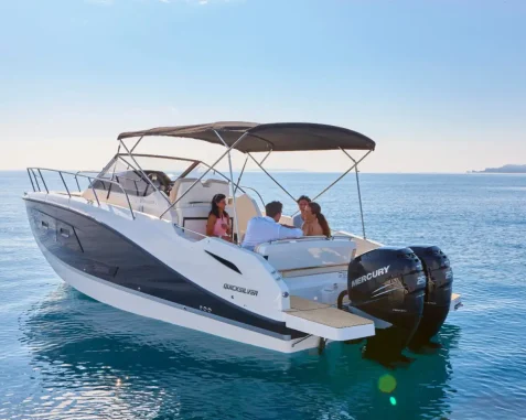 Quicksilver 875