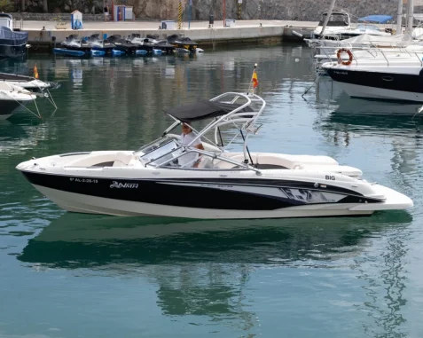 Barco a motor Bayliner 235