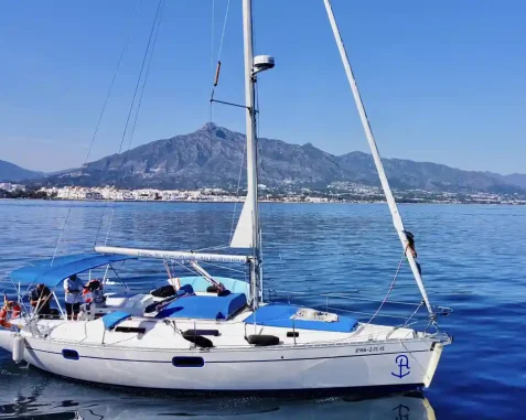 Velero Oceanis 351