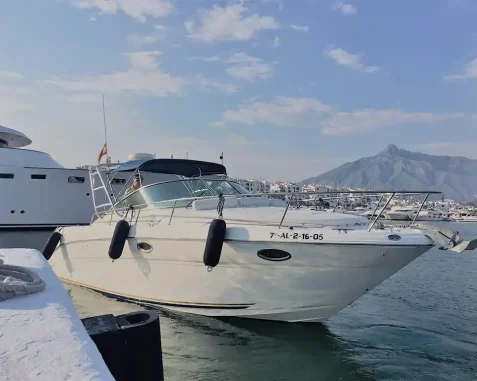 Motora Sea Ray Amberjack 290