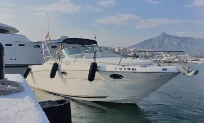 Motora Sea Ray Amberjack 290
