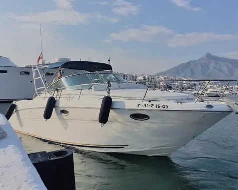 Motora Sea Ray Amberjack 290