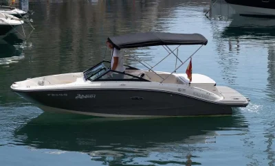 Barco a motor Sea Ray 190