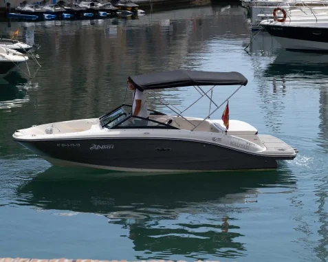 Barco a motor Sea Ray 190