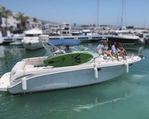 Motora Sea Ray Amberjack 290