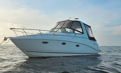 Barco a motor Rinker 260