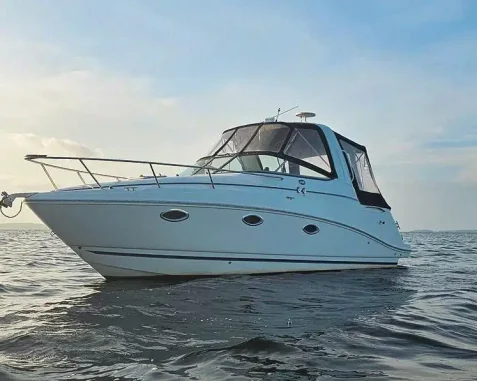 Barco a motor Rinker 260