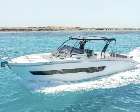 Barco a motor Saver 330