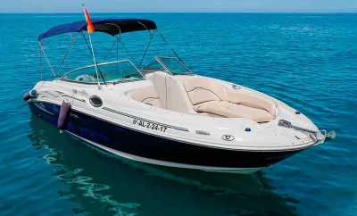 Lancha Sea Ray 240
