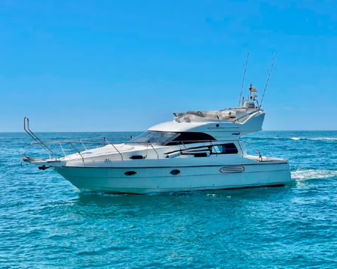 Astondoa 36 AS